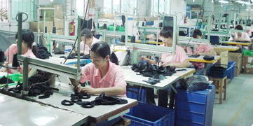 数码配件领域的隐形冠军 东莞石碣正荣塑胶电子制品厂